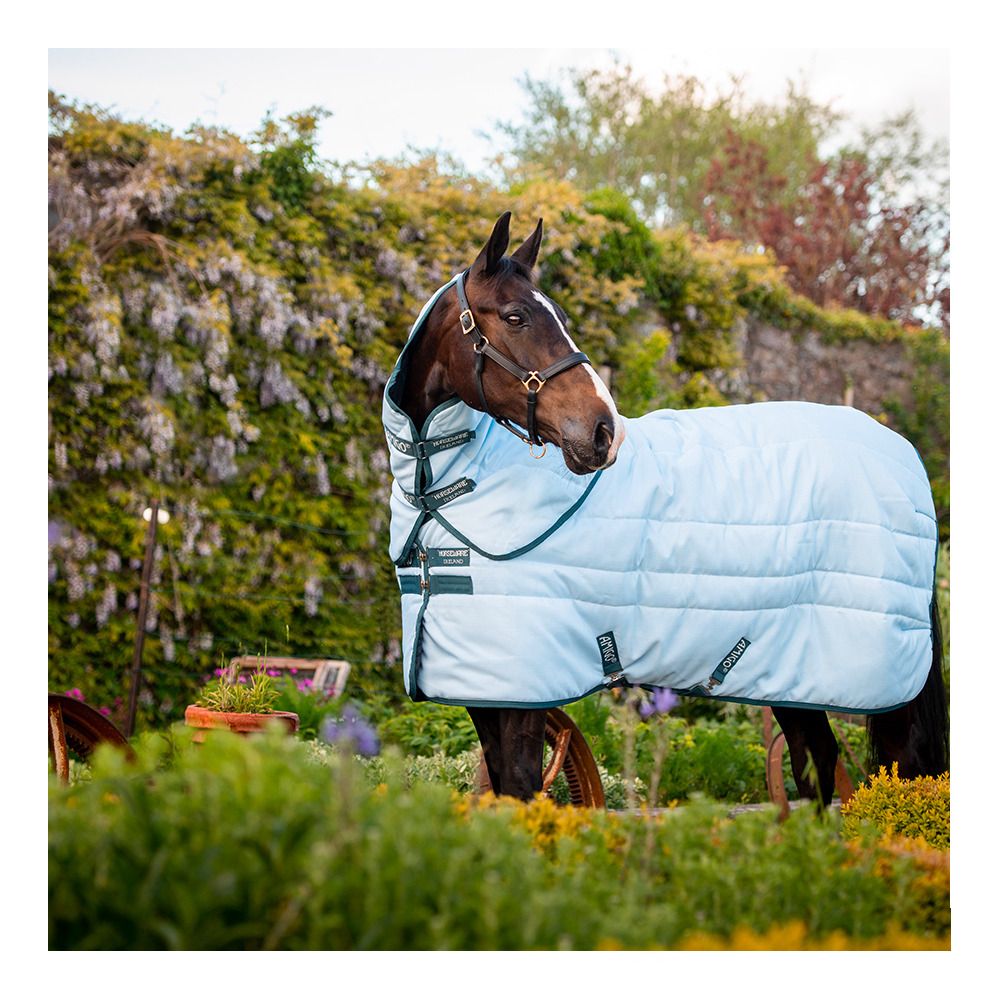 Horseware AMIGO PLANT DYE STABLE 200G - Couverture de box + couvre-cou blue/navy