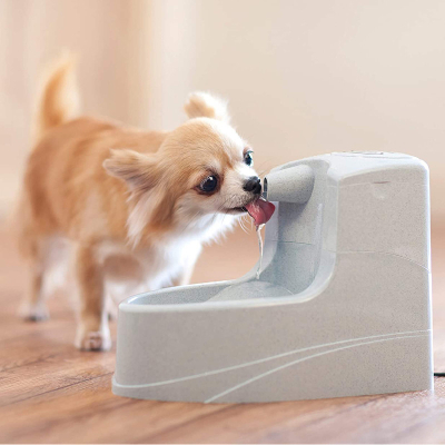 PetSafe Drinkwell Mini Trinkbrunnen 1.2l