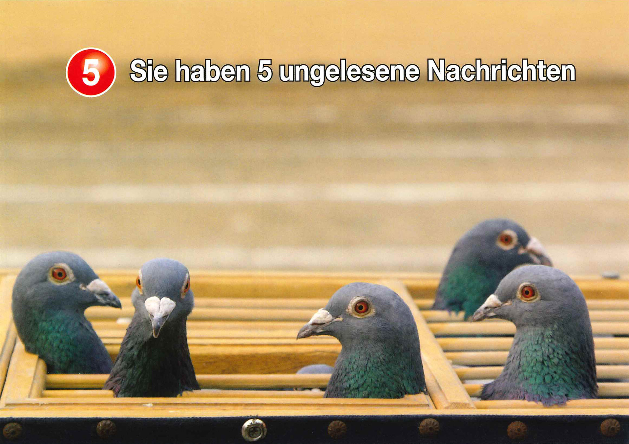 Postkarte '5 ungelesene Nachrichten' günstig bestellen