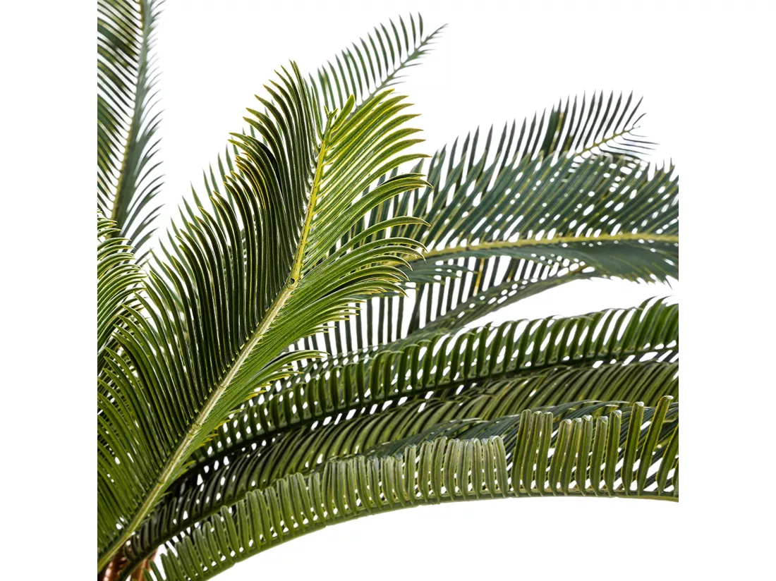 Plant d'ananas l.86 x p.86 x h 72, vert