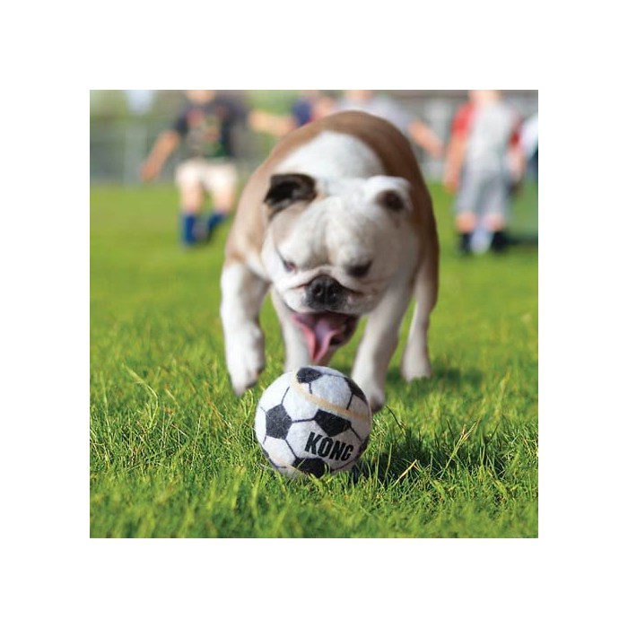 Trio de balles Sport  KONG