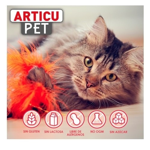 Pet Line Articupet Anti-inflamatório para Cães e Gatos
