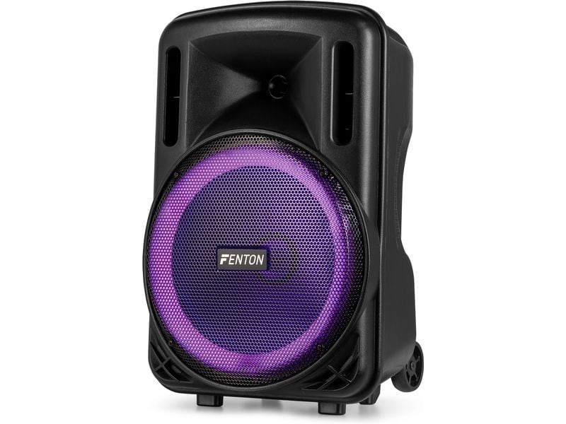 Fenton Lautsprecher FT12 lED MK2 Tragbarer PA-Lautsprecher mit LED