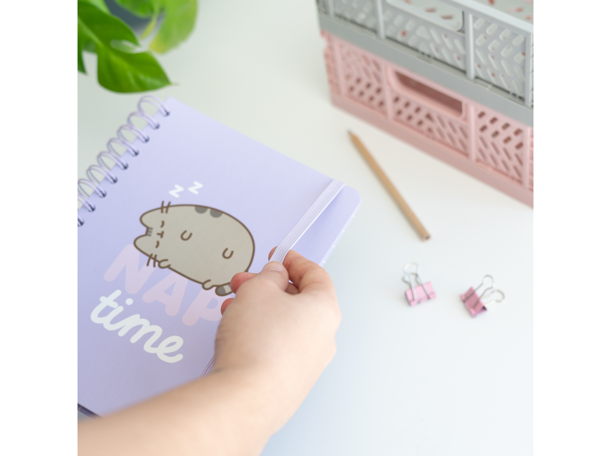 CADERNO A5 PUSHEEN CAPA DURA