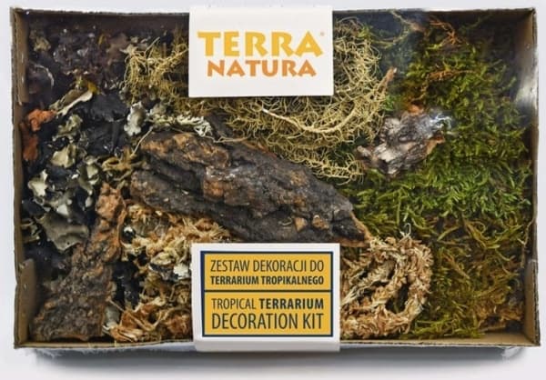 Terra Natura dekorasjon for et tropisk terrarium