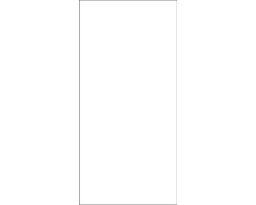 SCHULTE DecoDesign douchewandpaneel, effen kleur briljant wit hoogglans, 210 x 100 cm, D19010213 761