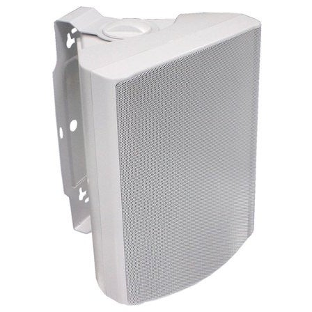 Visaton WB 16 White 6.25 inch fullrange speaker