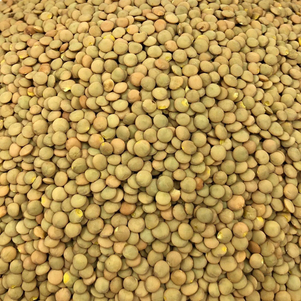 Lentille Blonde Bio en Vrac 25kg Vrac Bio