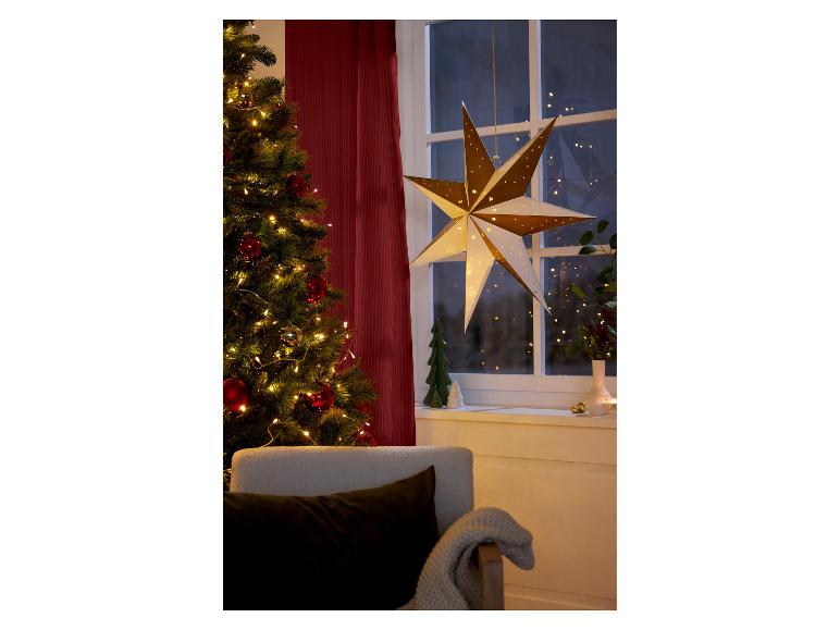 Kerstster met verlichting