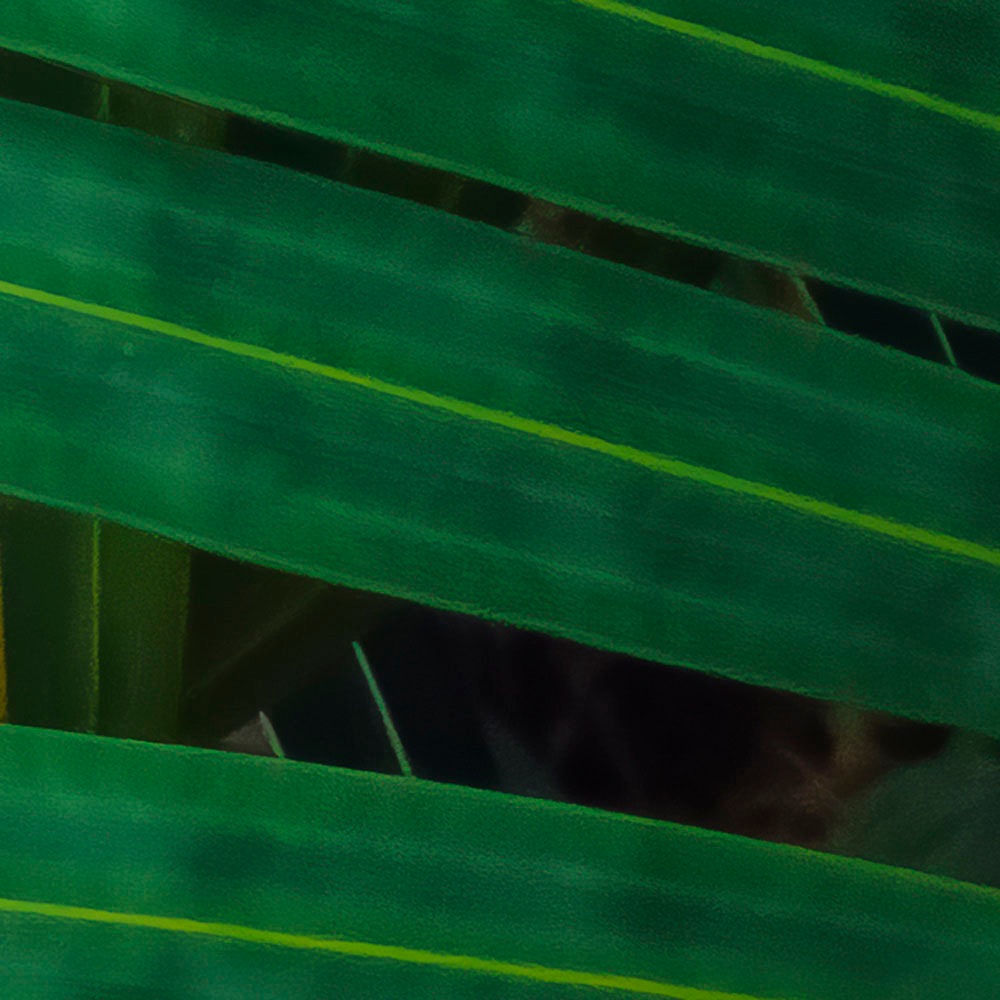 Komar Fototapete »Digitaldruck Vlies -  Amazon Fern - Grösse 400 x 250 cm« bedruckt glatt Wohnzimmer, Schlafzimmer