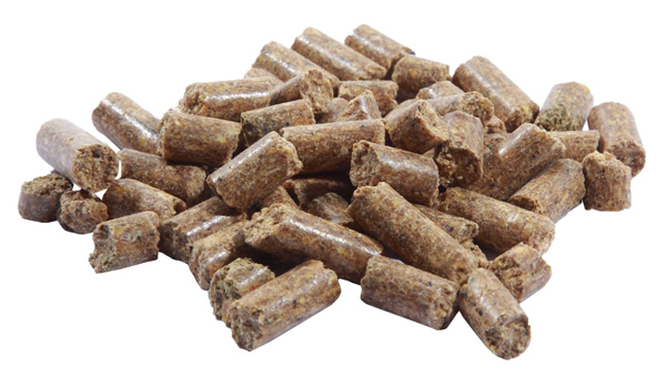 Ultimate Baits Carp Summer Pack (Pack été)