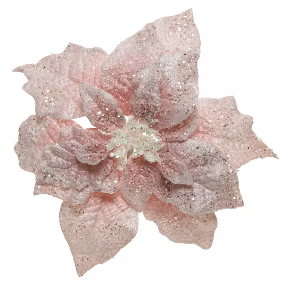 Poinsettia de Noël Velours sur clip (D22 cm) Rose poudré