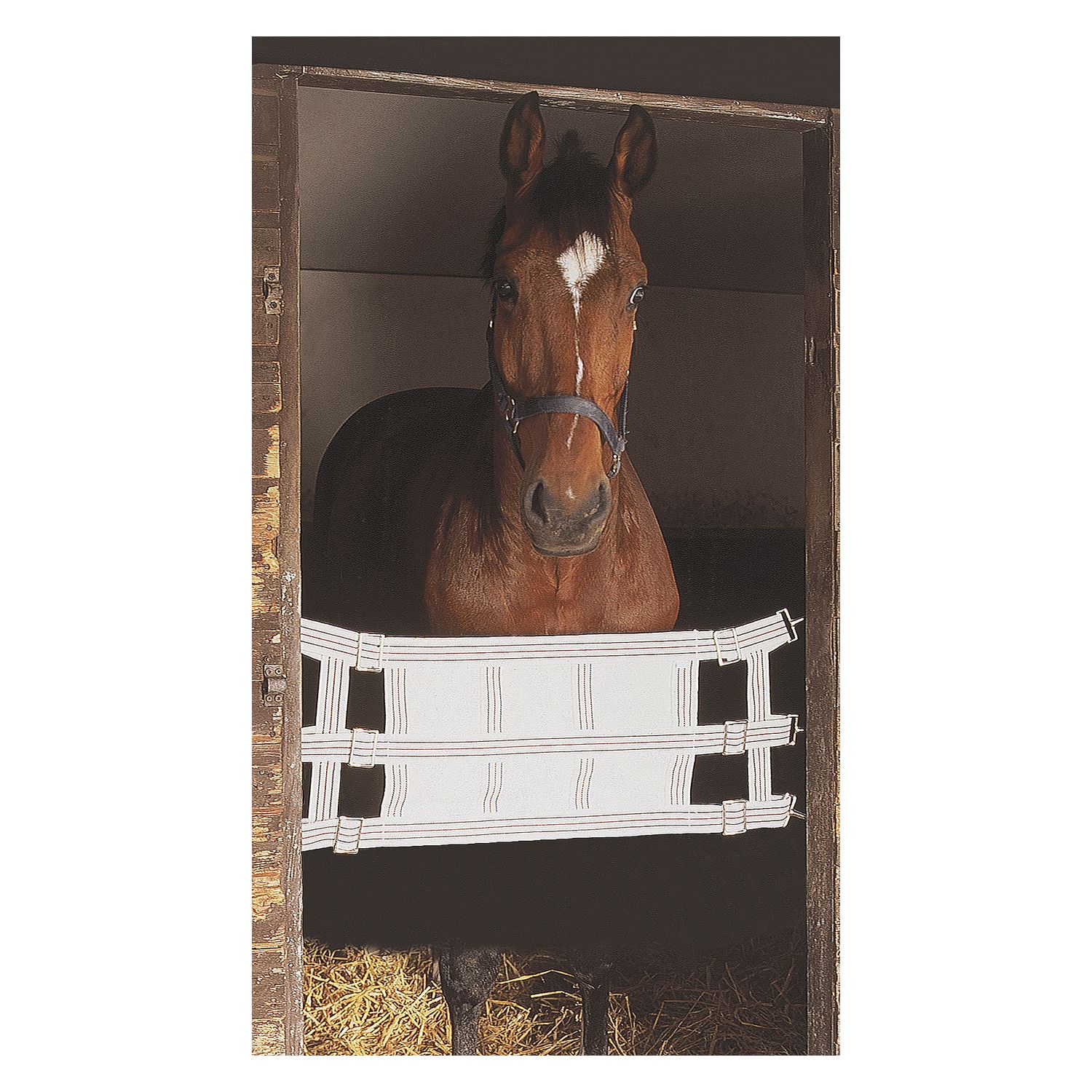 Loesdau Stallguard