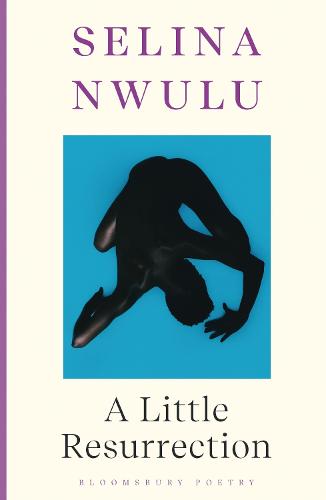 A Little Resurrection (Paperback)