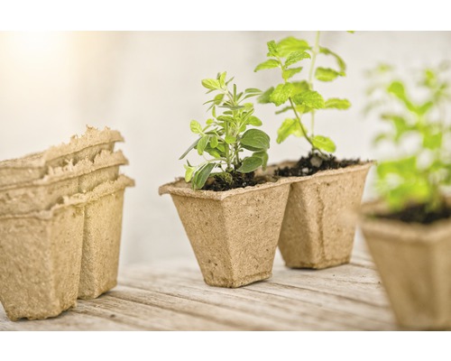 FloraSelf vierkante zaailingpotjes, 6 cm, 24 stuks