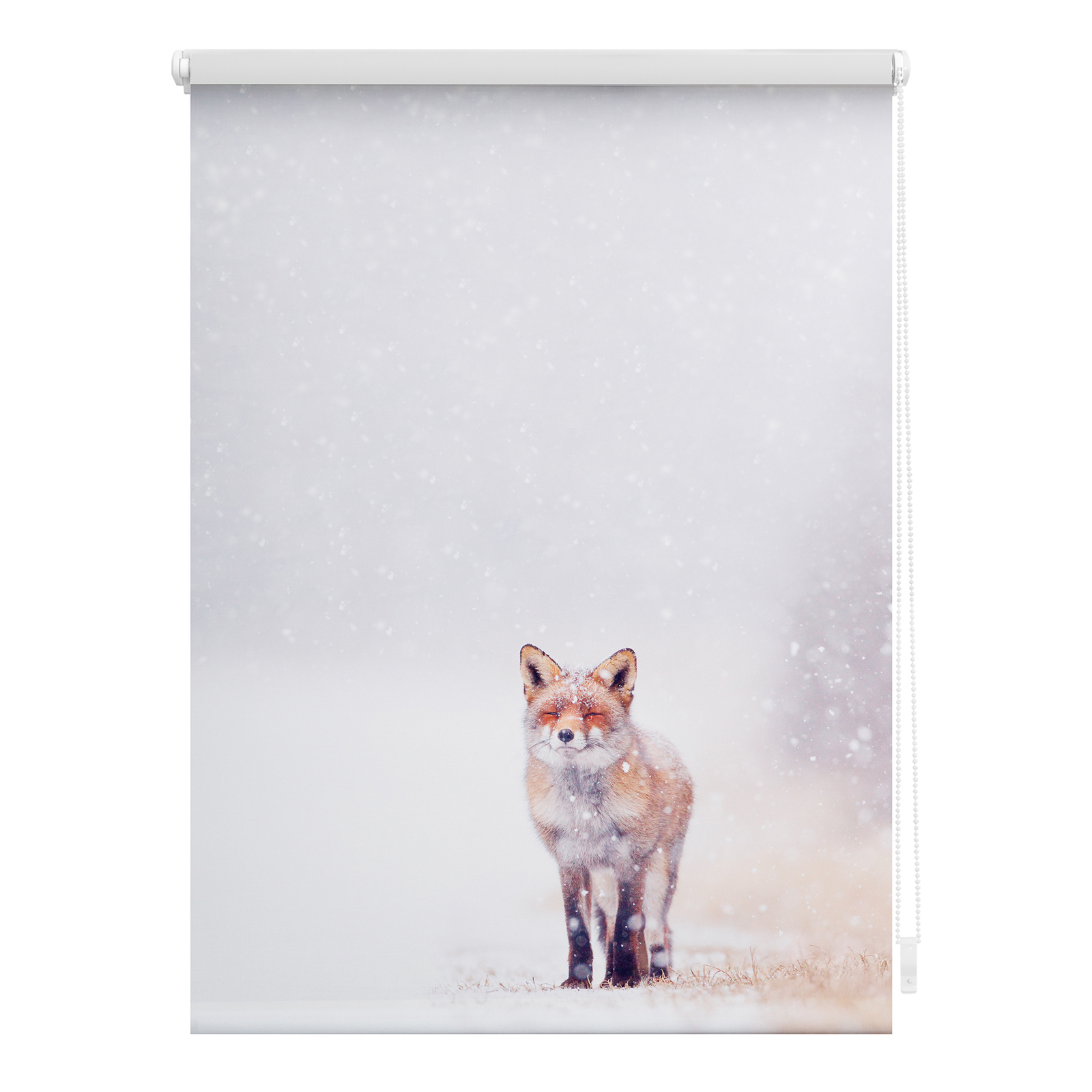 LICHTBLICK Rollo Klemmfix FUCHS IM SCHNEE - weiß-rot - 45x150 cm