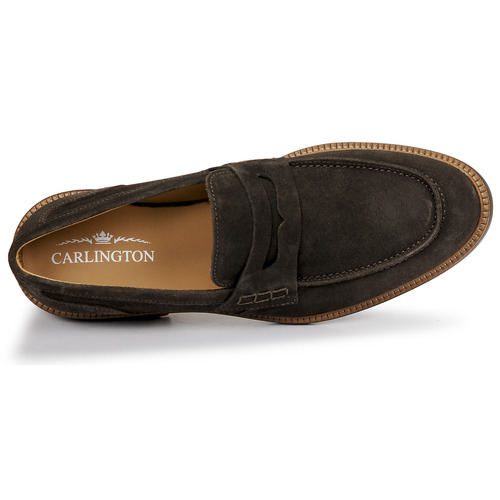 Carlington - GILBERT - Marron