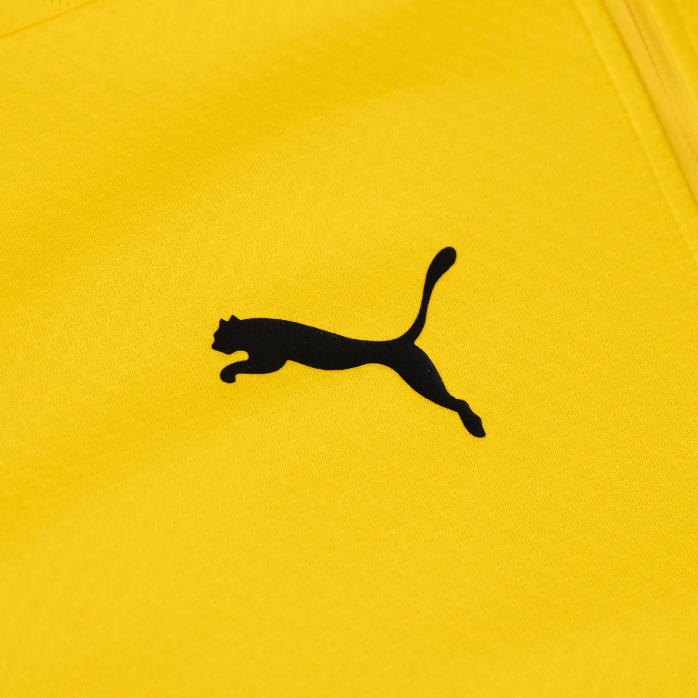 PUMA Borussia Dortmund Trainingstrui 1/4-Zip 2024-2025 Kids Geel Zwart