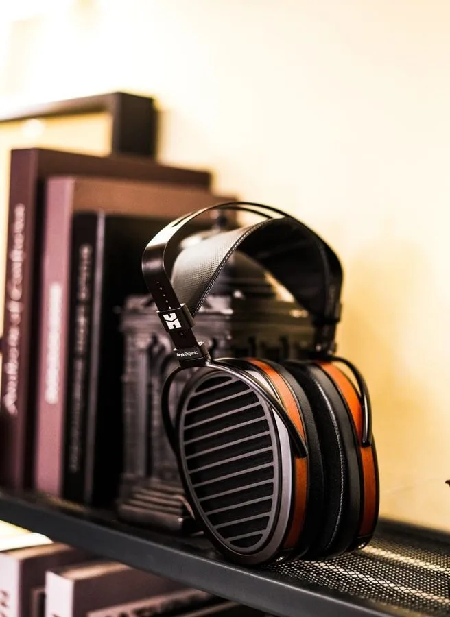 HiFiMAN Arya Organic Casques hi-fi