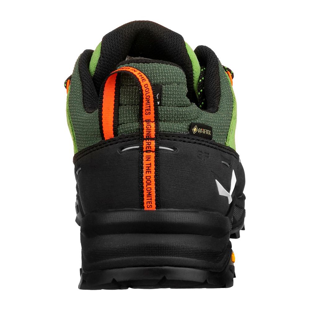 Salewa ALP TRAINER 2 GTX - Chaussures randonné Homme pale frog/black