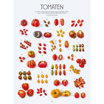 Die Gourmet-Bibel Italien