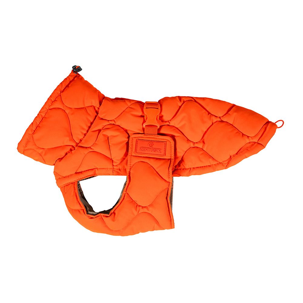 Kentucky PINA - Manteau pour chien orange