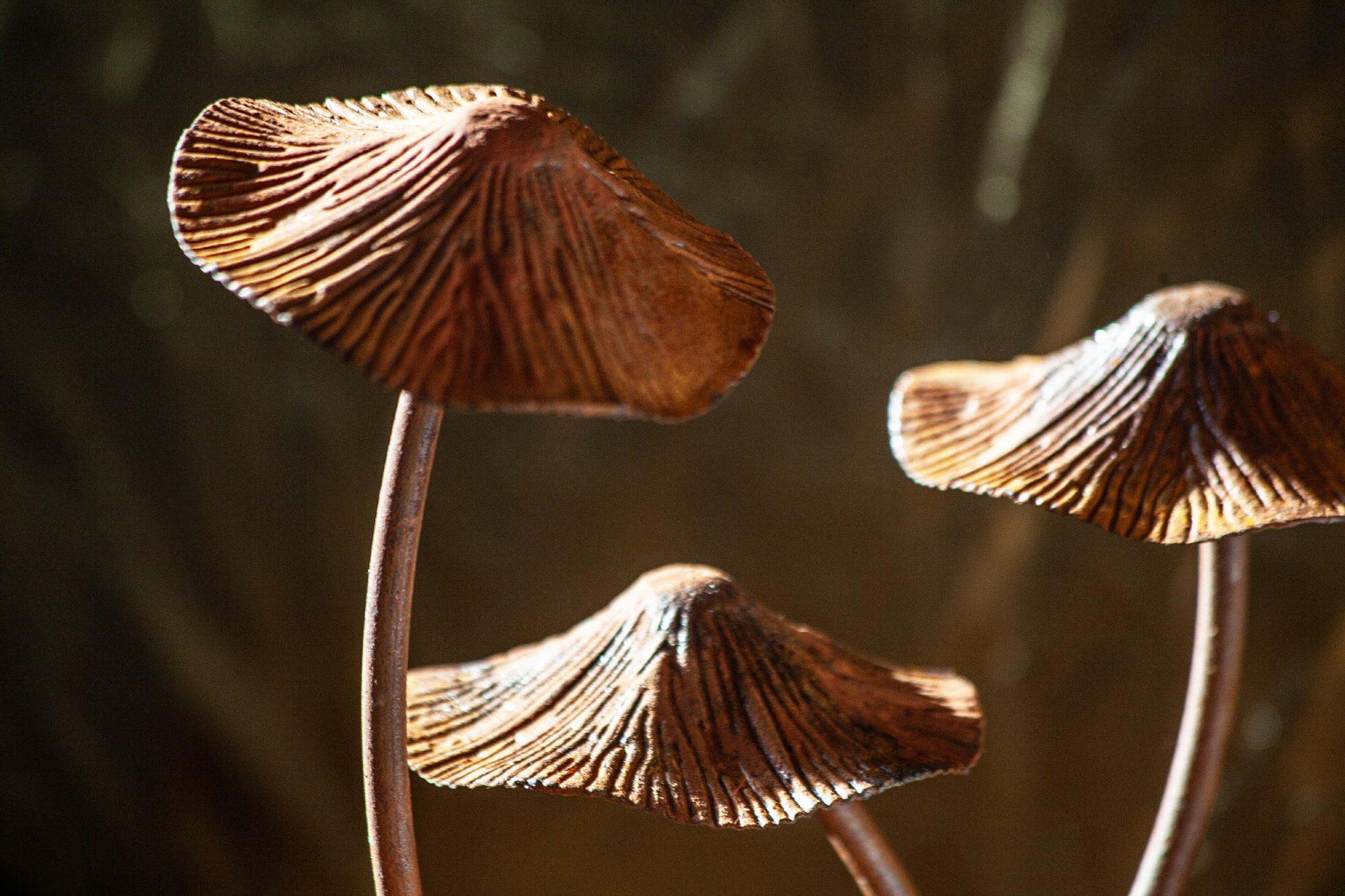 Figur 'Pilze' aus Eisen, H 44 cm, B 26 cm, L 20,5 cm günstig bestellen