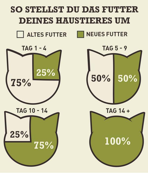 ACANA Trockenfutter für Katzen Adult Cat