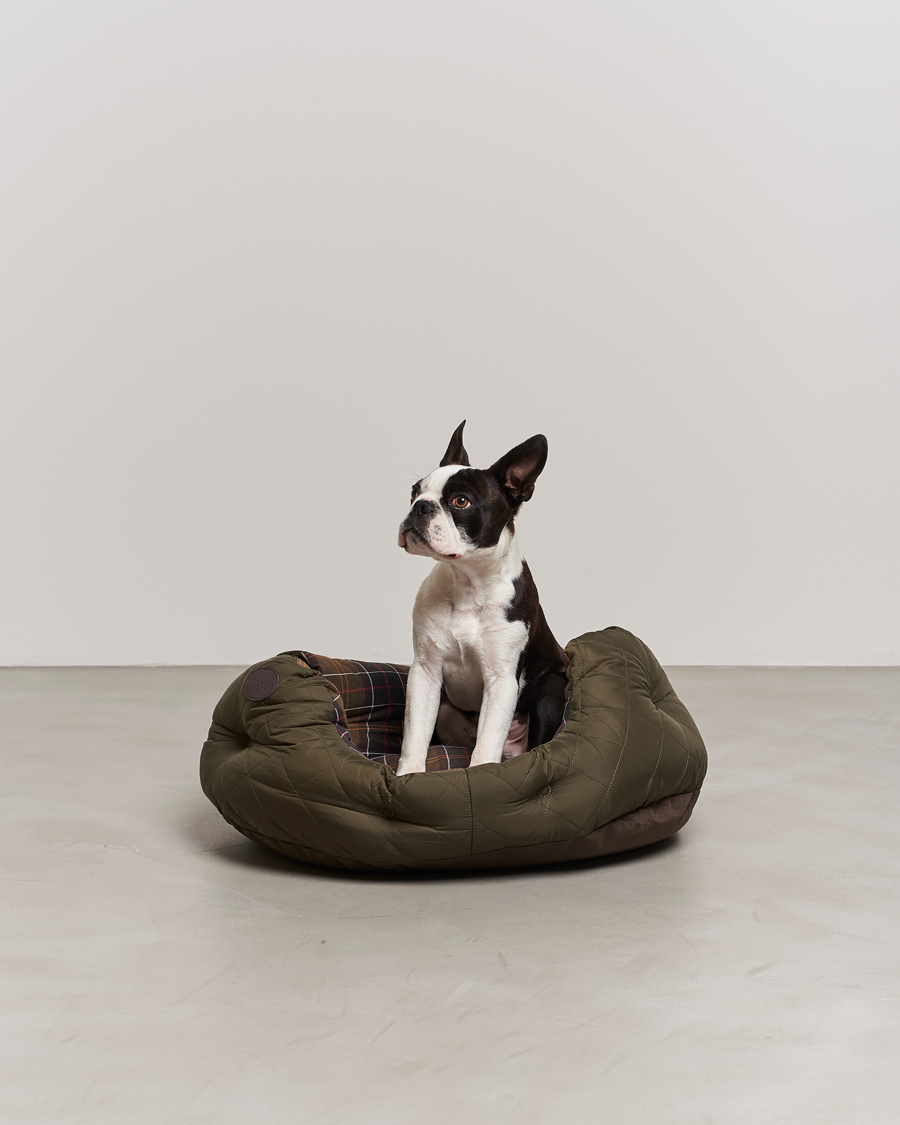 Quilted Dog Bed 24'  Olive