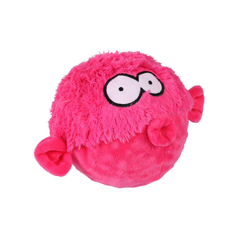 Coockoo Gary