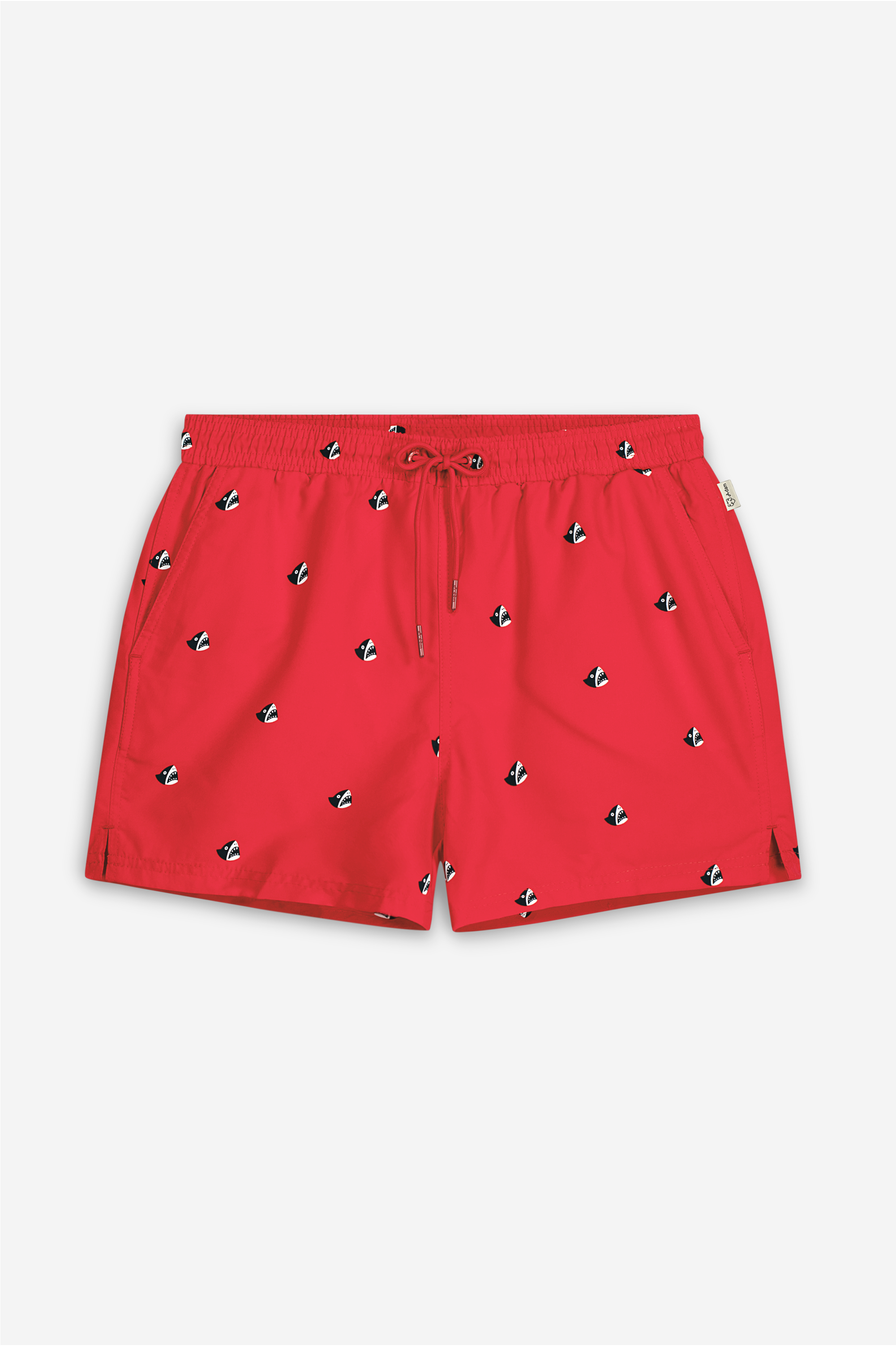 Roy