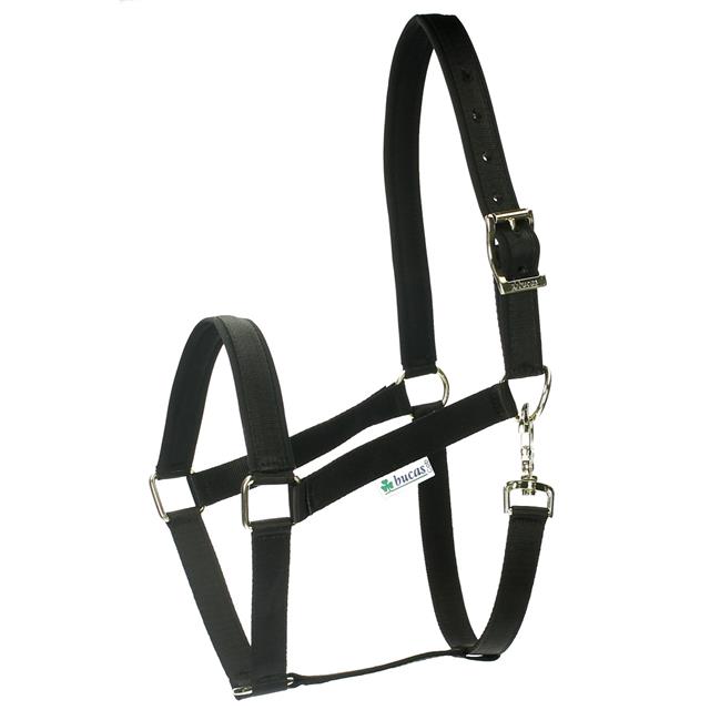 Halster Bucas Dublin Zwart-zwart