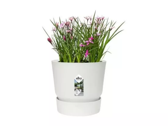 ELHO Pot de fleurs rond Greenville 25 - Exterieur - O 24,48 x H 23,31 cm - Blanc