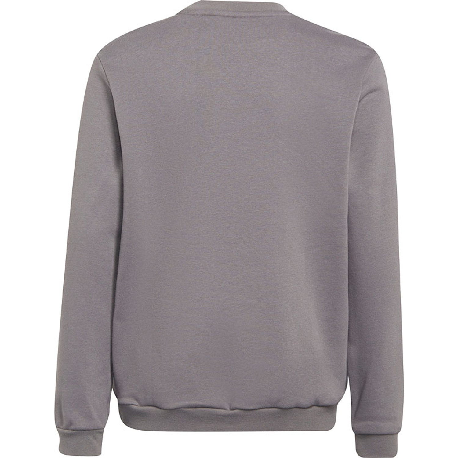 adidas Entrada 22 Sweat Top Kids