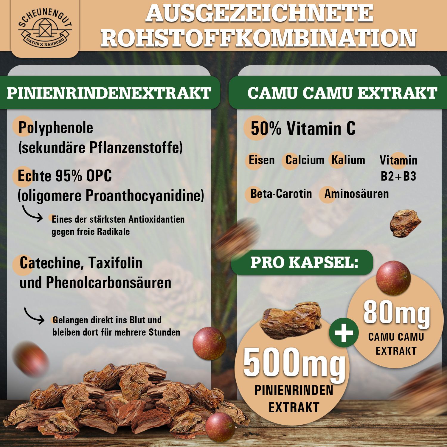 Scheunengut® Pinienrinde | 25:1 Extrakt mit mindestens 95% OPC | optimiert mit Camu Camu (Vitamin C)