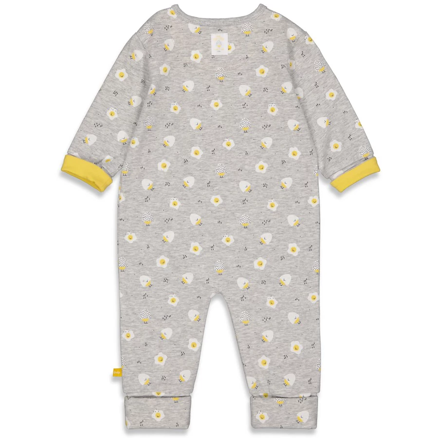 Feetje Overall Egg-Cited Grey Melange