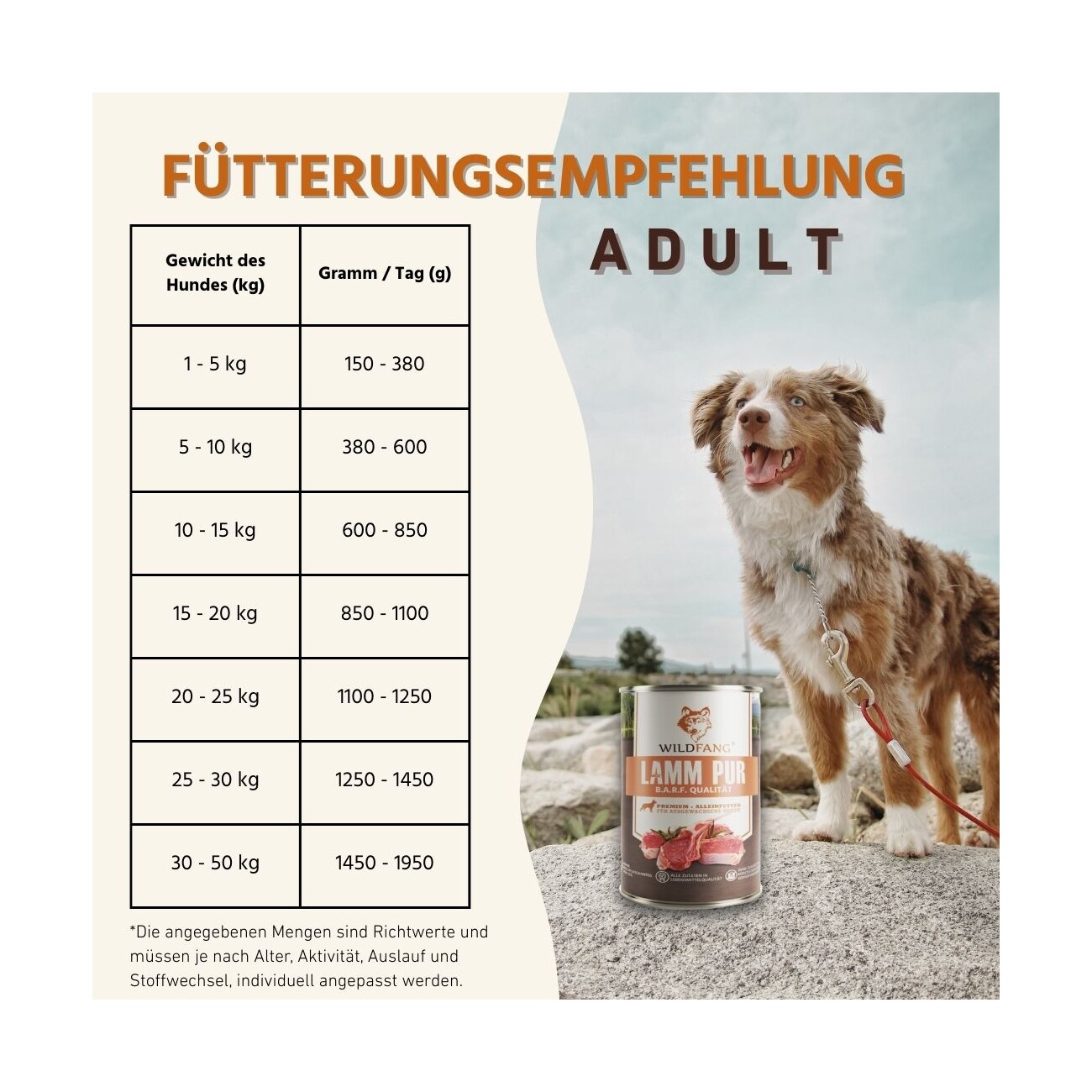 Wildfang Nassfutter Mix 6 x 400g - BARF Qualität