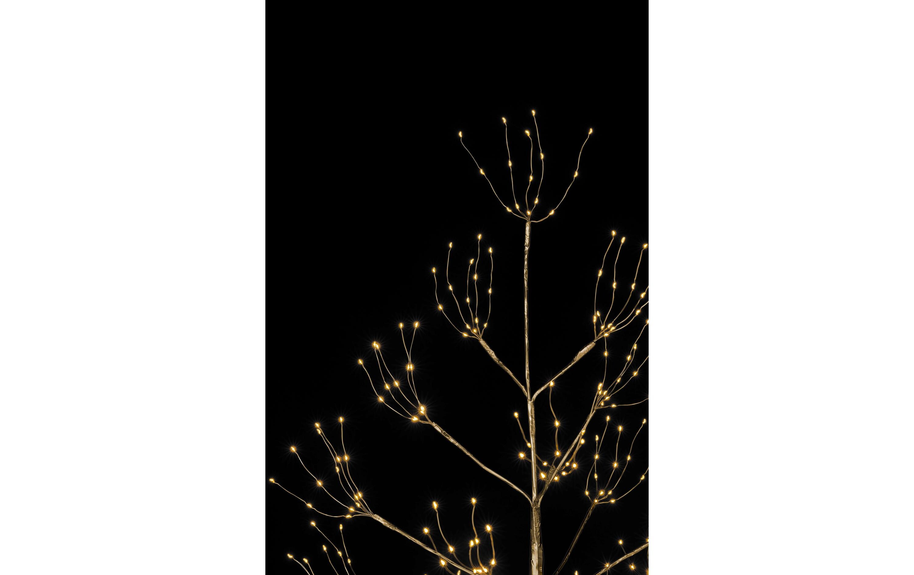 Baum Champagne, 570 LEDs, 150 cmWeihnachtsbaum mit Beleuchtung