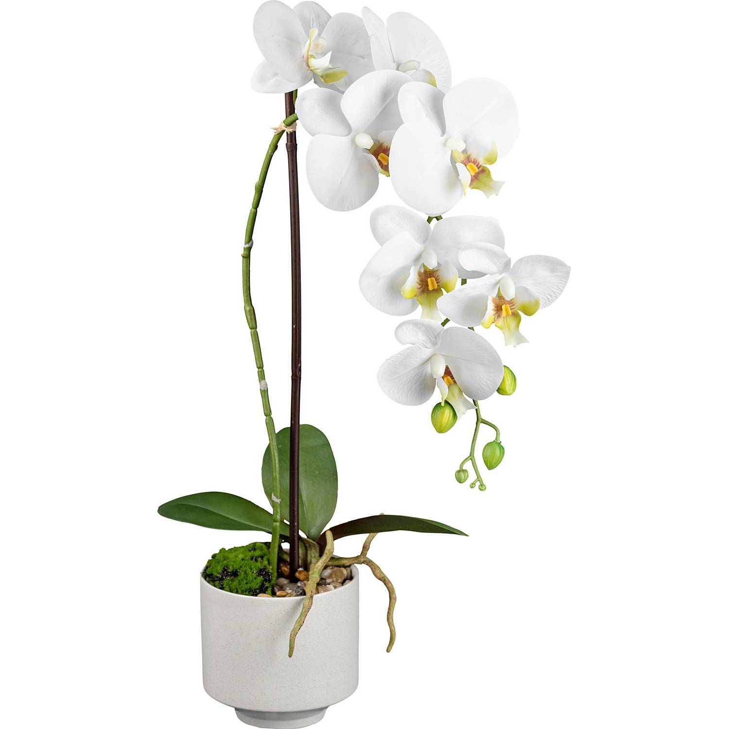 Kunstpflanze Orchidee
