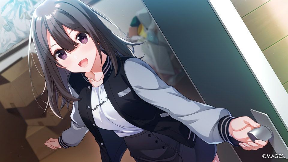 Since Memories- PlayStation 4