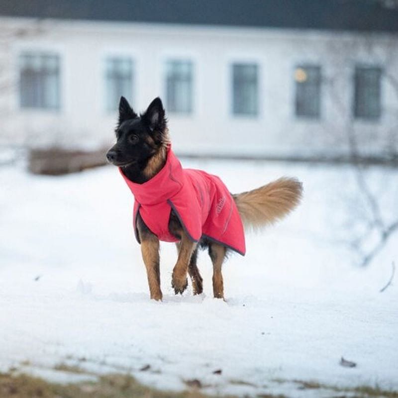 Rukka Windy Thermal Jacket Softshell Jas Hond | Maat 35 | Rood | 13757.4