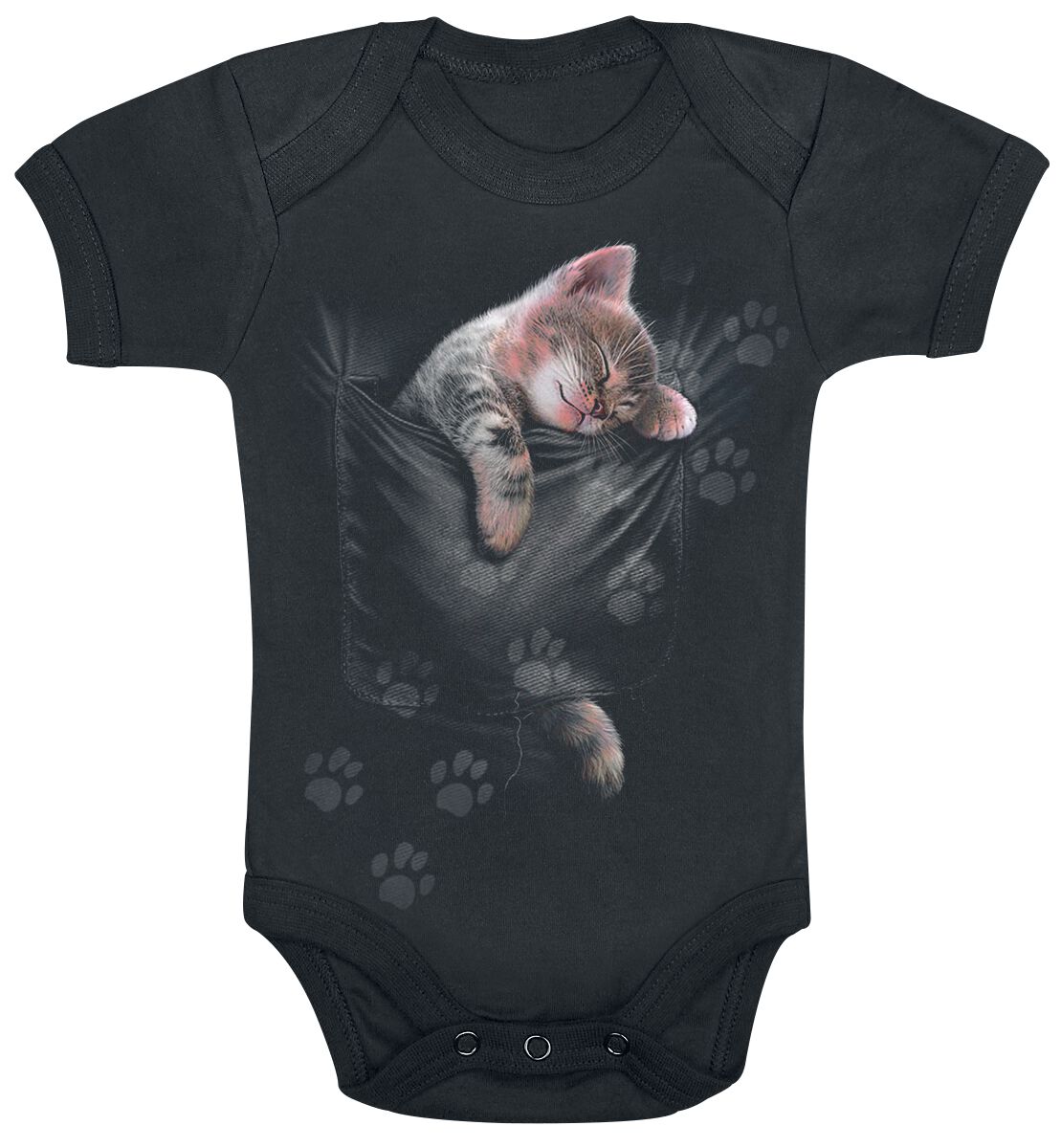 Chaton Poche | Spiral Body