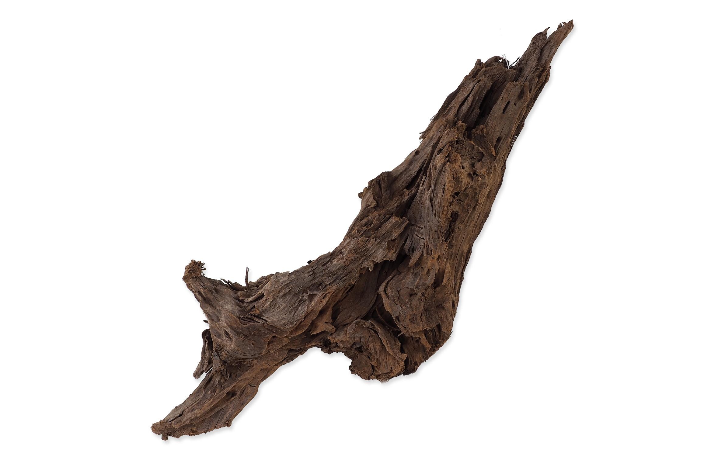 Drift Wood Bulk L, 35-55 cmSchwemmholz für Terrarien und Aquarien