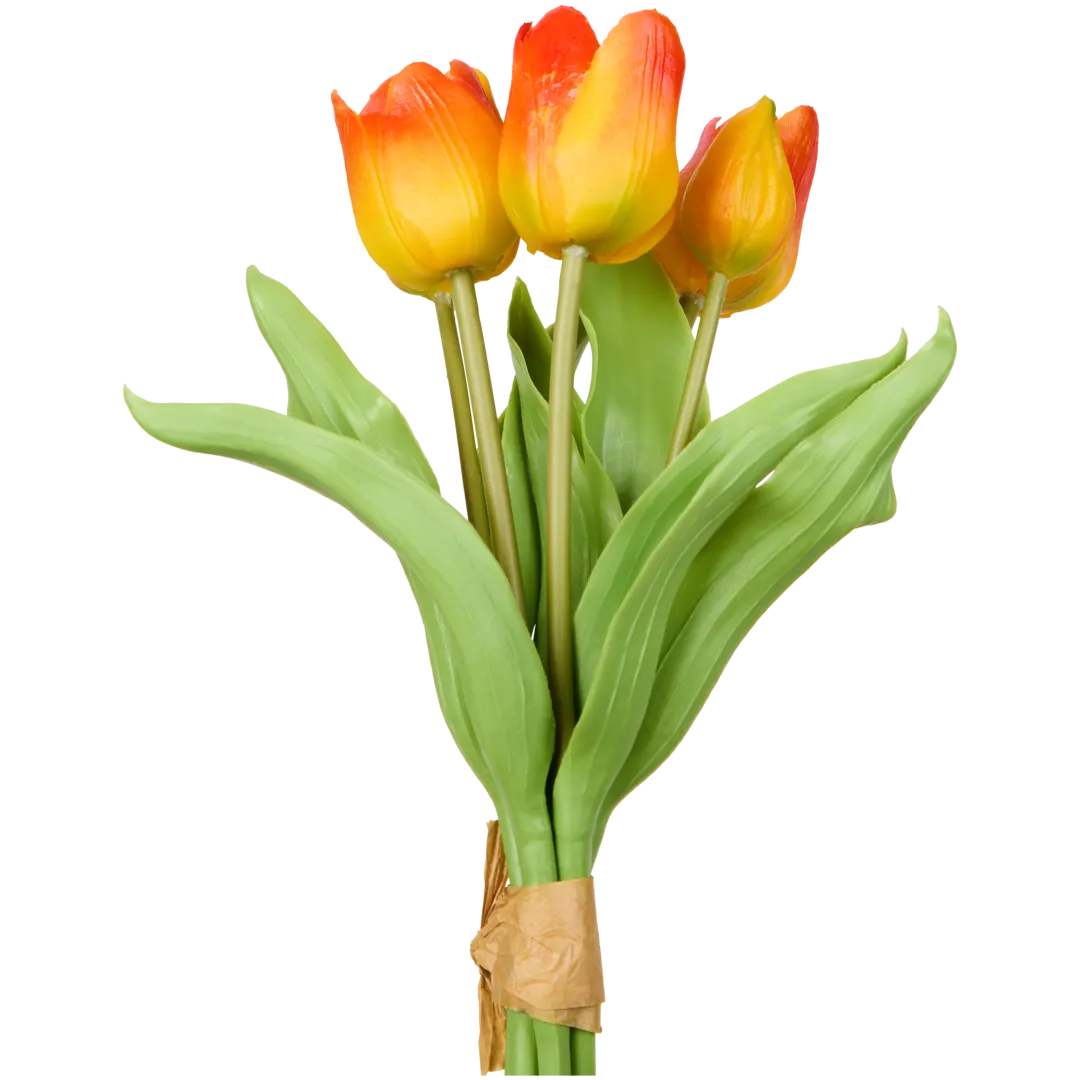 Kunsttulpen Diverse varianten
