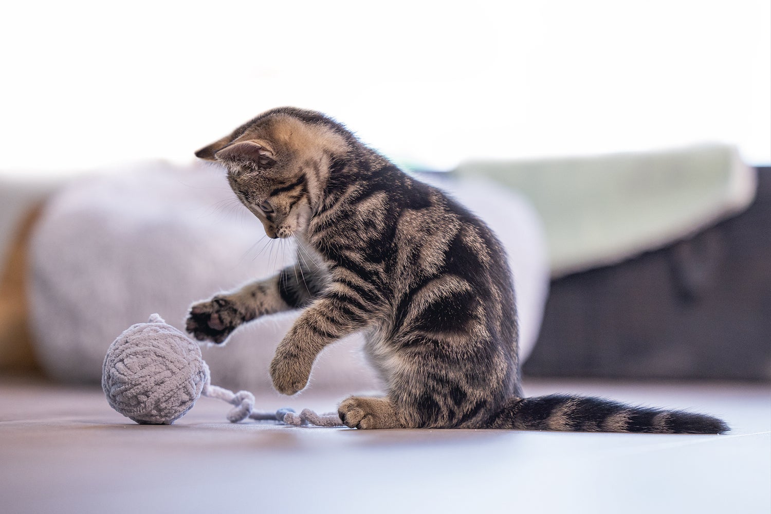 Beeztees kattenspeelgoed speelbal met koord grijs D 6,5 H 35 cm