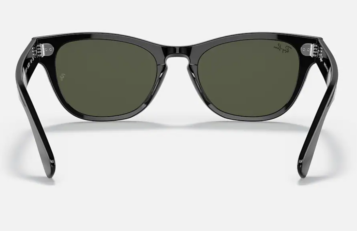 Ray-Ban<br>Laramie Black
