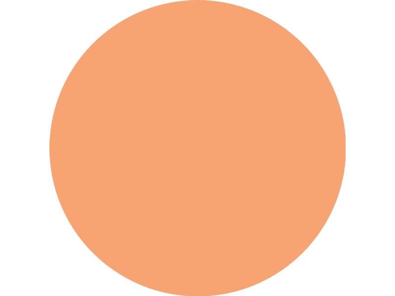Catrice Rouge Blush Affair Cream and Powder 030 Absolute Ap Blush Palette mit Creme- und Pudertextur in Apricot