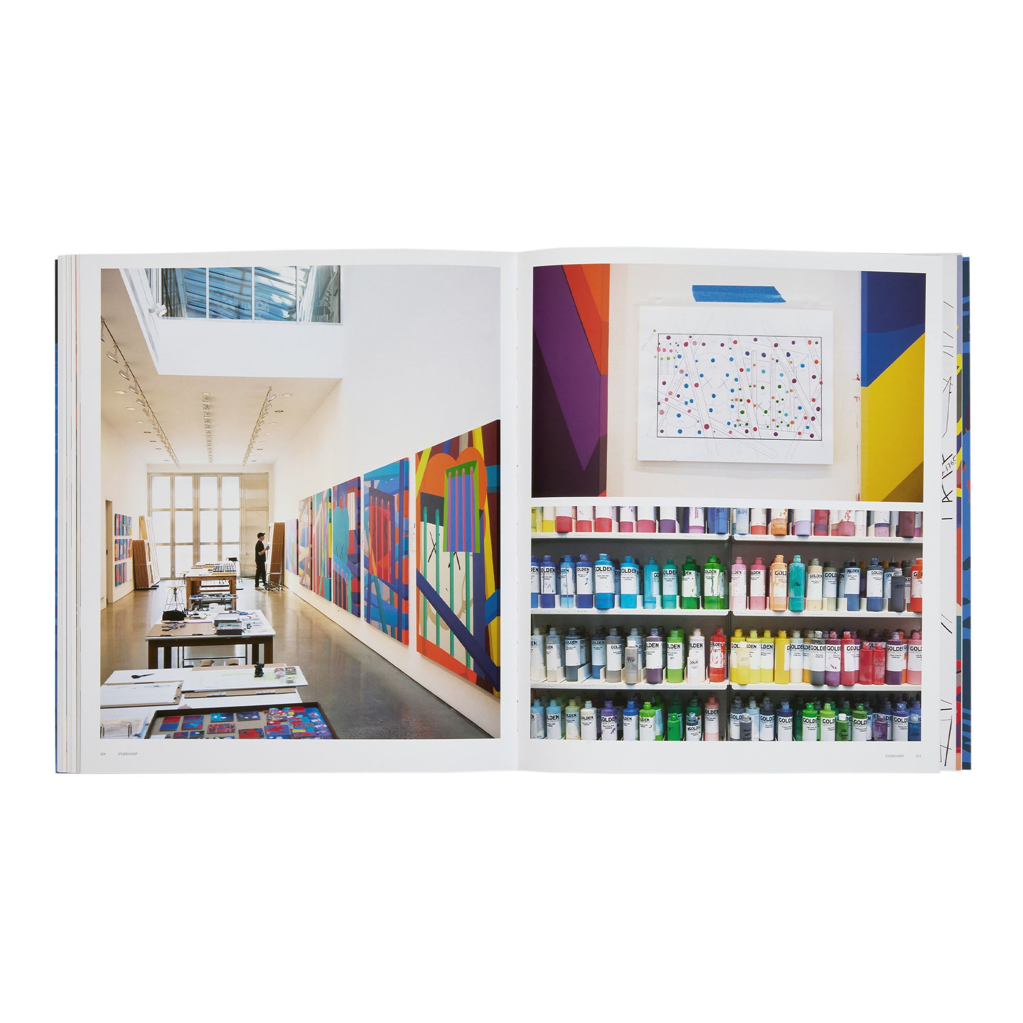 Phaidon<br>Kaws: Contemporary Artist Series
