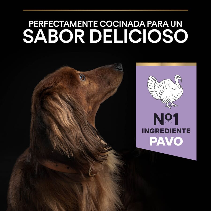 Pro Plan Adult Small and Mini Digestion Turkey Dog Food