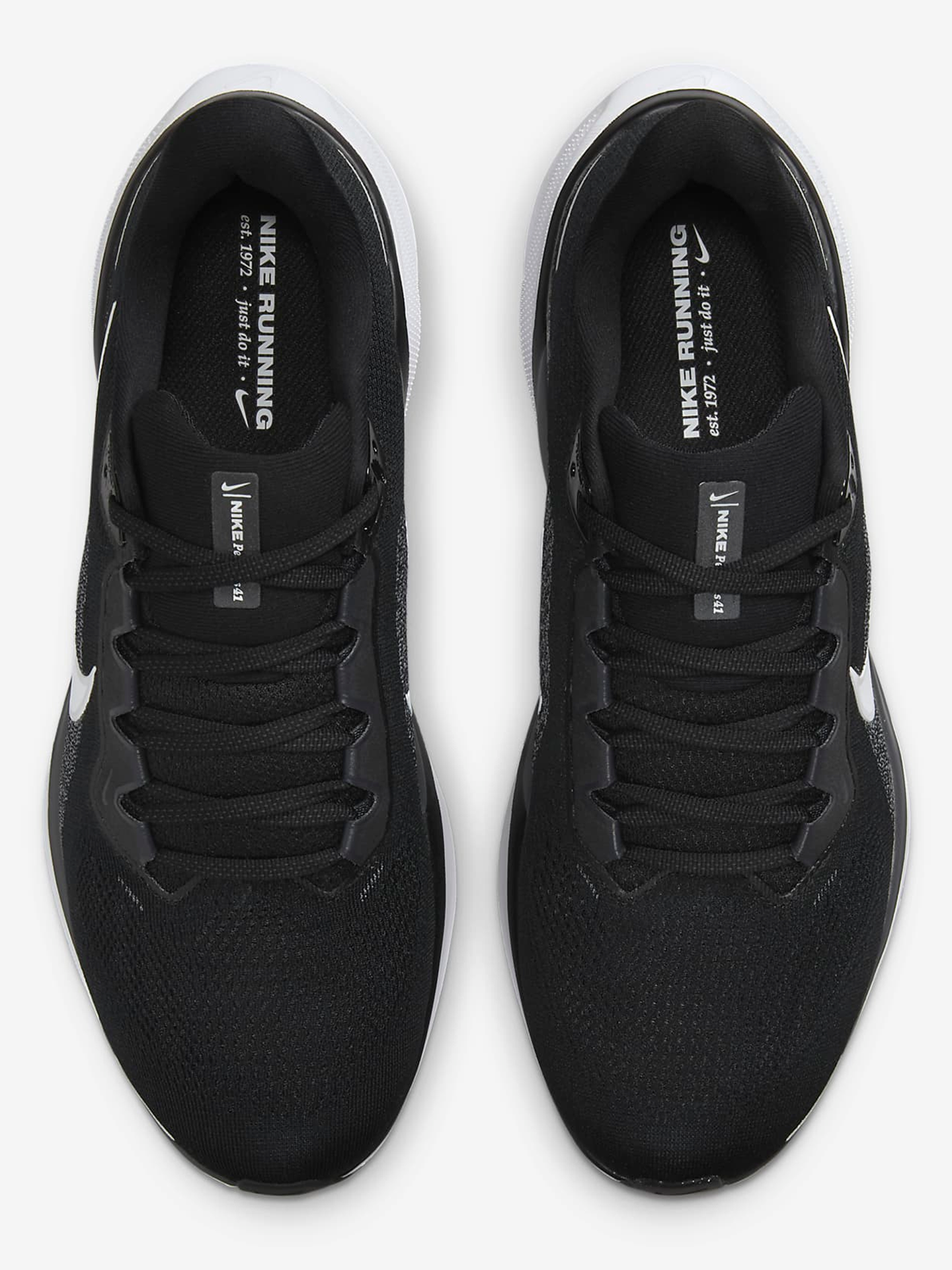 Pegasus 41